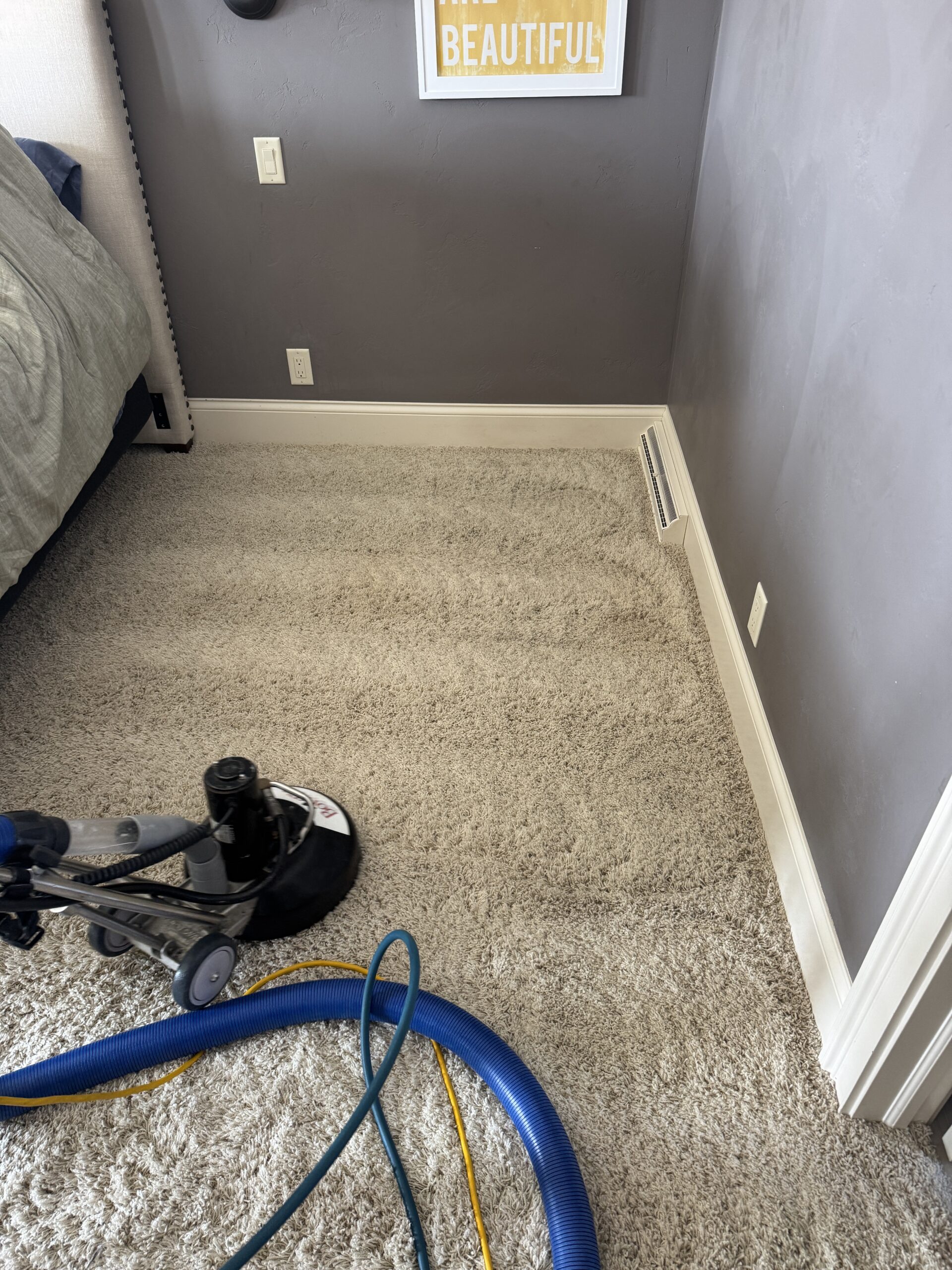 BowTie carpet cleaning result
