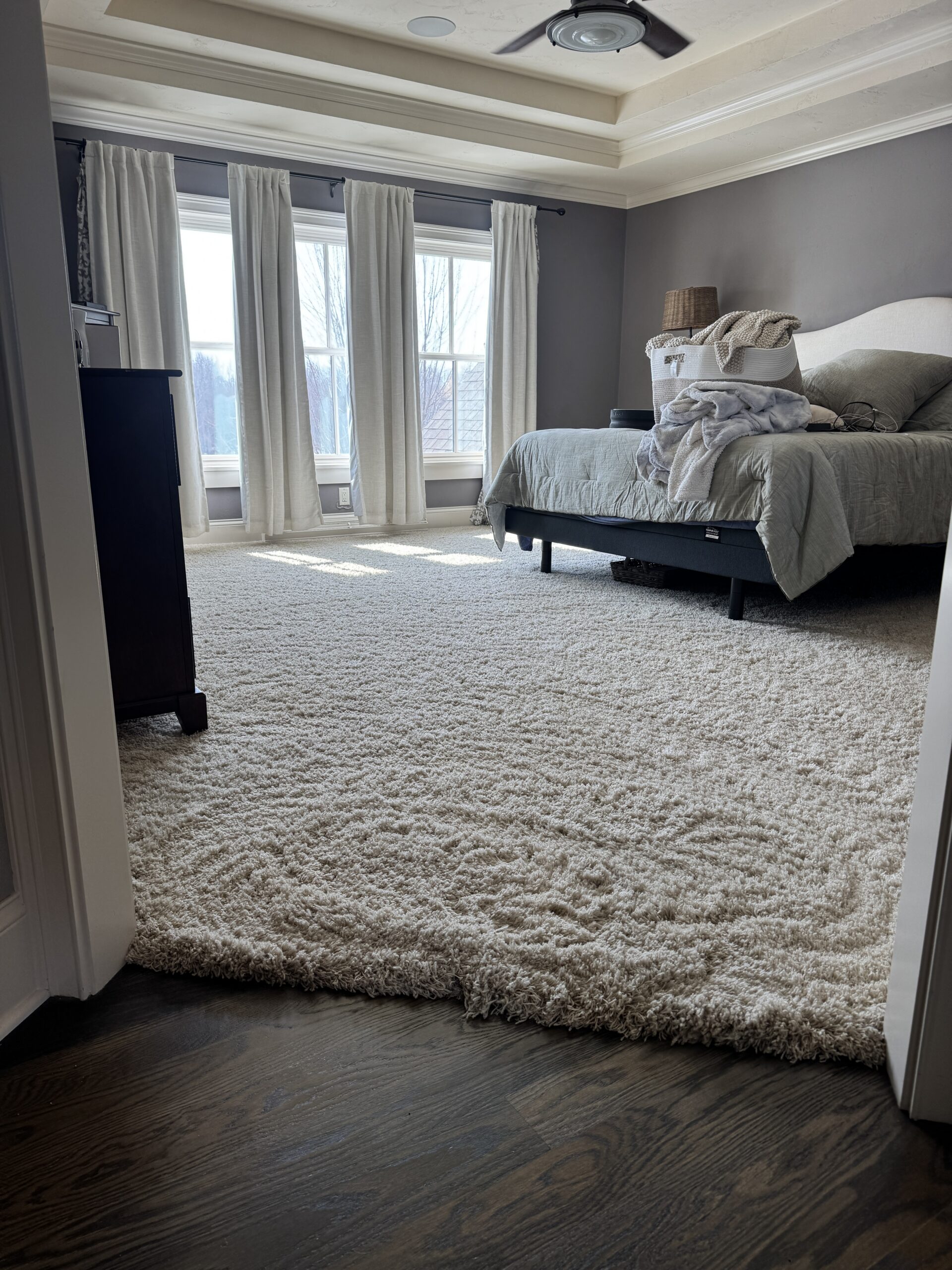 BowTie carpet cleaning result