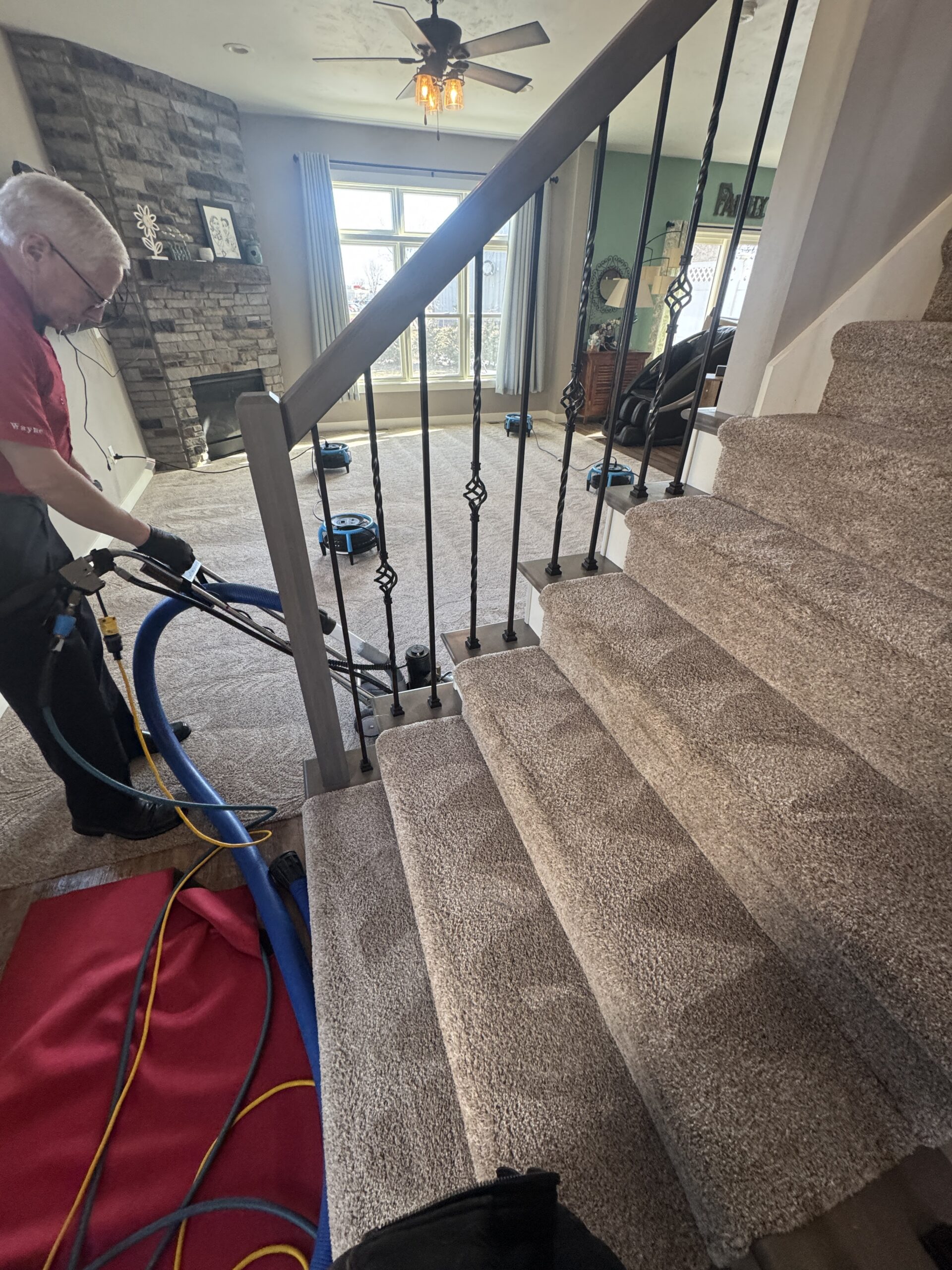 BowTie carpet cleaning result