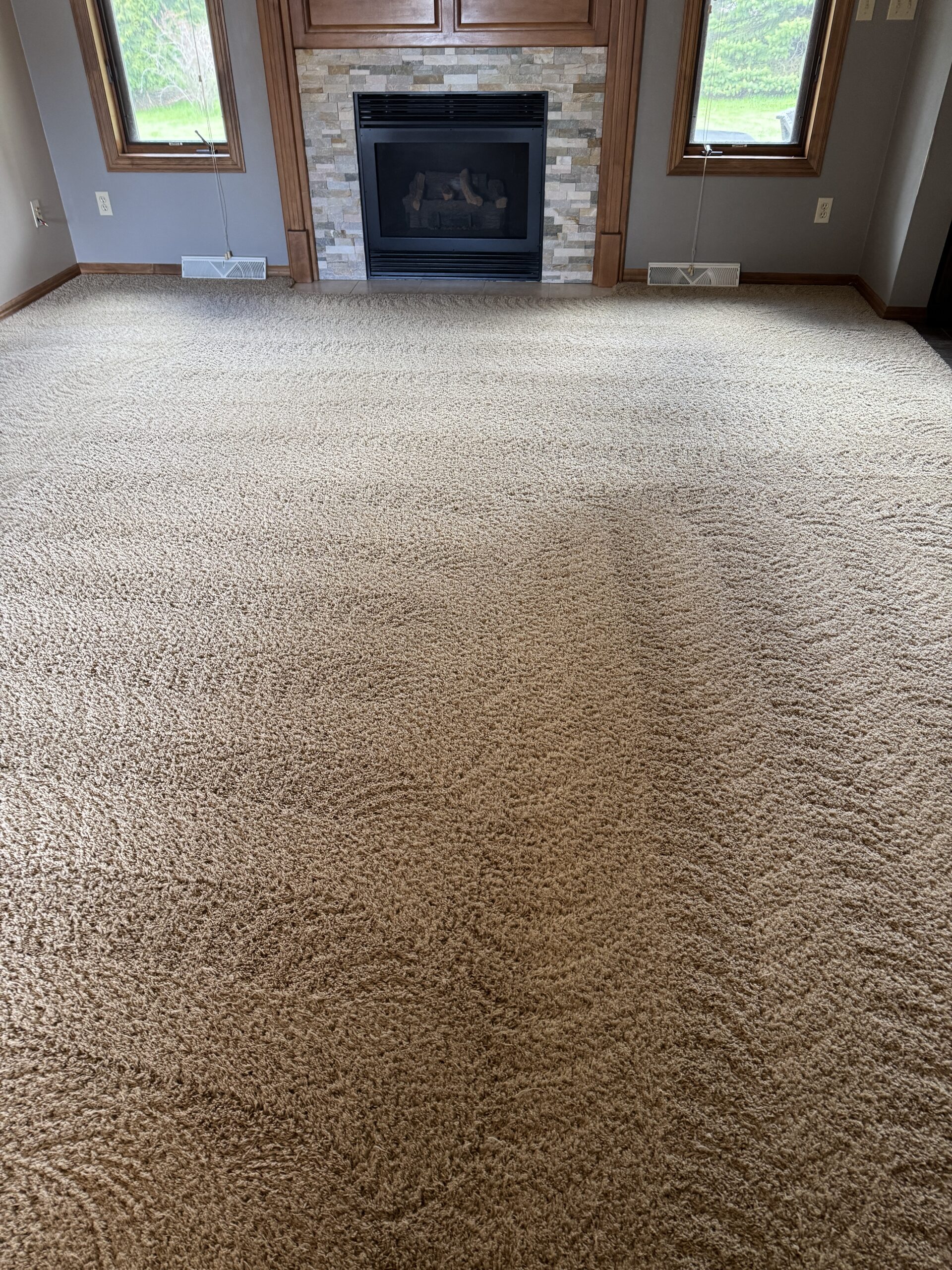 BowTie carpet cleaning result