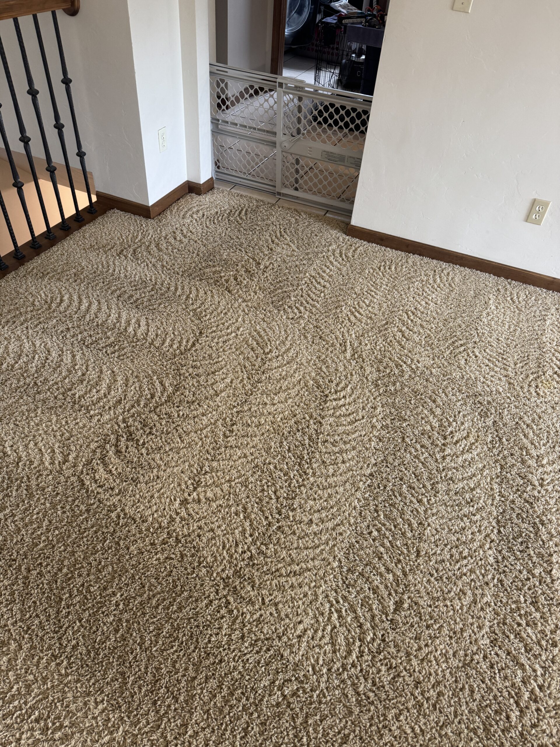 BowTie carpet cleaning result