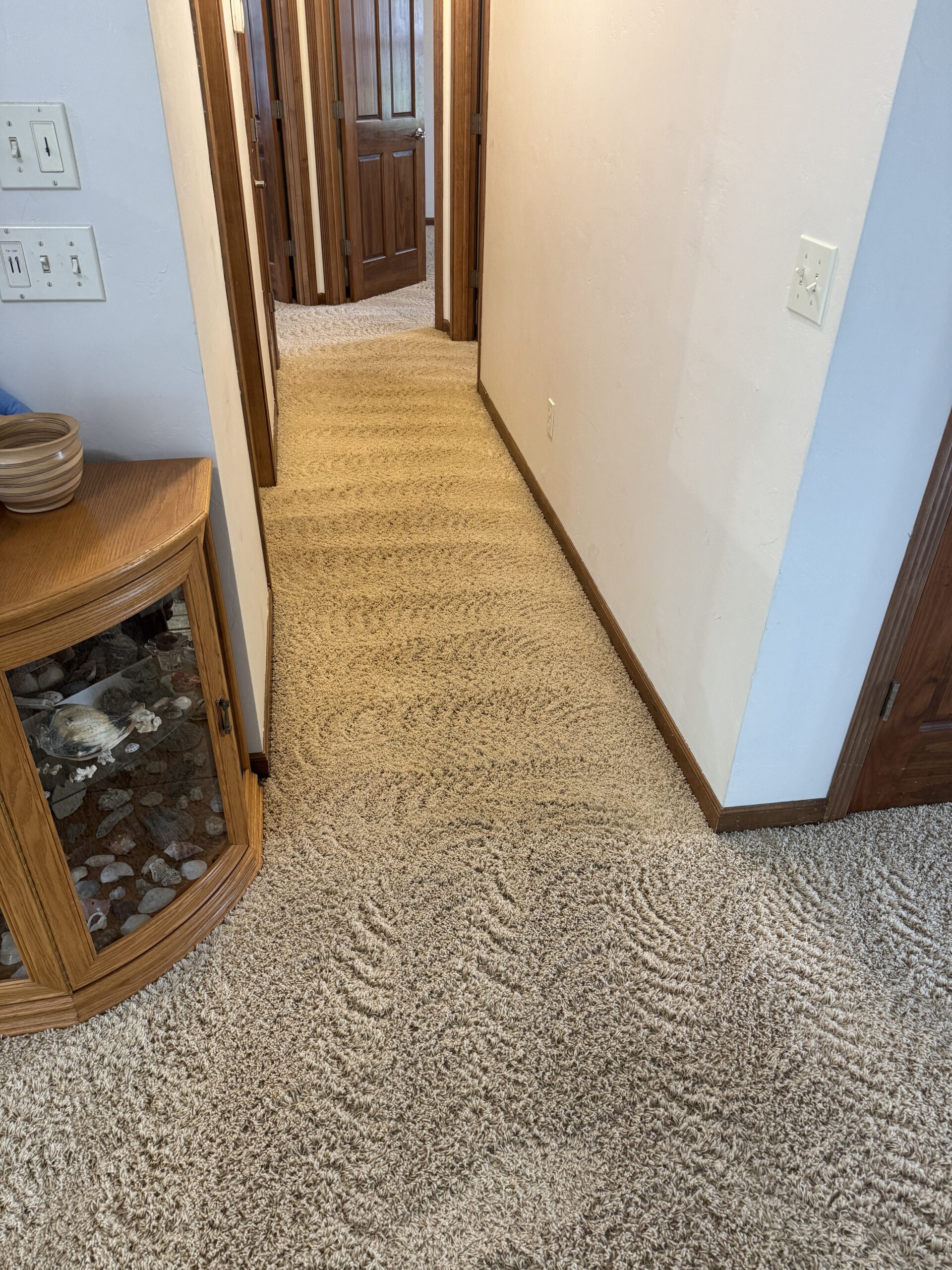BowTie carpet cleaning result